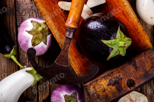 Preview: Eggplants are different. Vegetables.