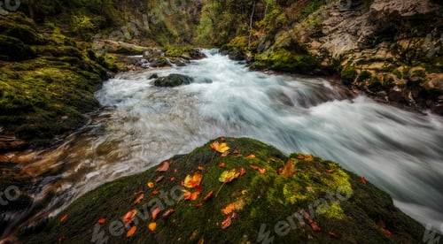 Preview: Vintgar gorge in the autumn time