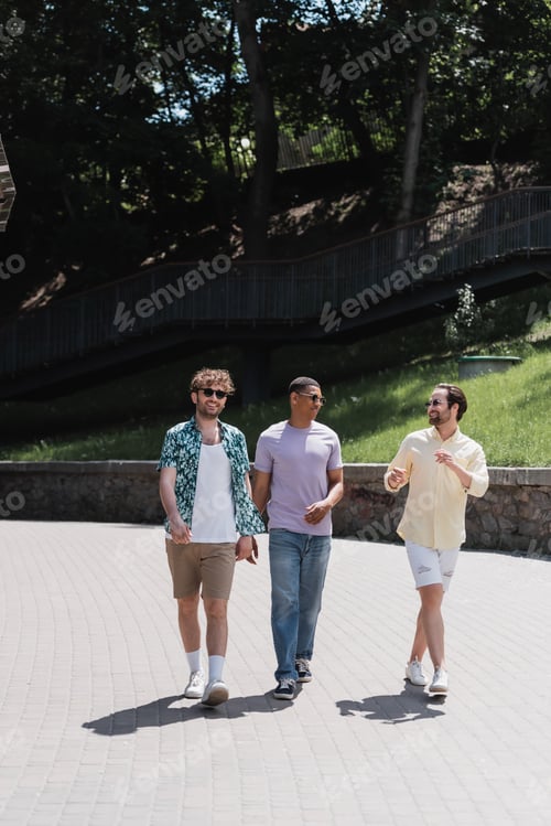 Preview: Young man in sunglasses and casual clothes talking to interracial friends while walking in park