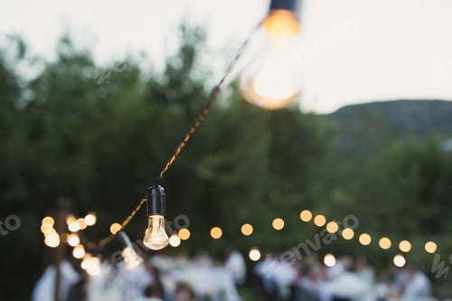 Preview: Decorative outdoor string lights hanging on a tree in the garden at night