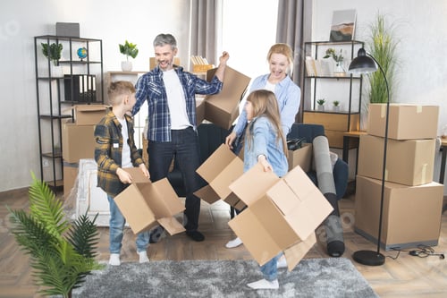 Preview: Cheerful Caucasian family holding boxes at new flat