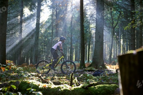 Preview: Female mountain biker cycling through sunbeam lit Forest of Dean, Bristol, UK