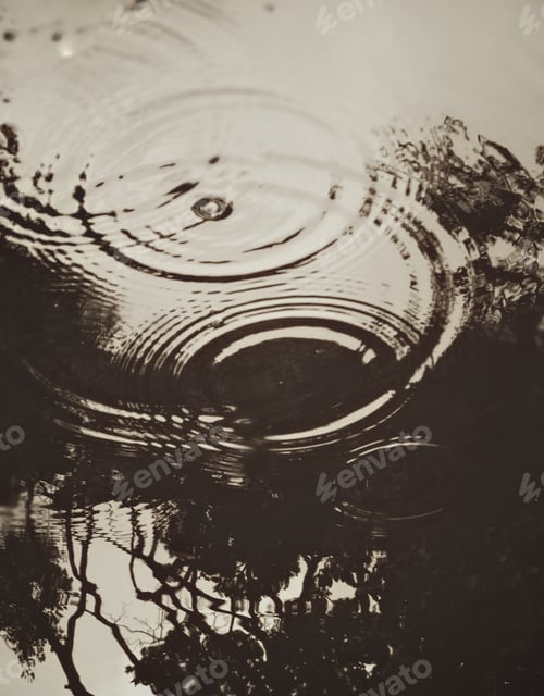 Preview: rings in a puddle of rain