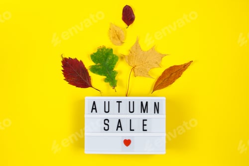 Preview: Autumn sale concept. Promotional discount banner on background of yellow fallen leaves