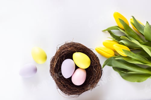 Preview: Stylish background with colorful easter eggs isolated on white background with yellow tulip flowers