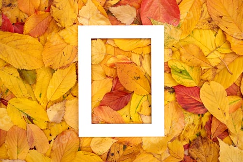 Preview: Thick vertical frame lies on autumn leaves