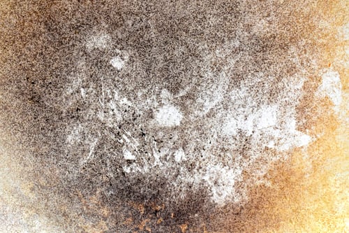 Preview: Burnt enameled cast iron pan.