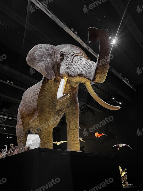 Preview: Big stuffed elephant in museum, low angle view