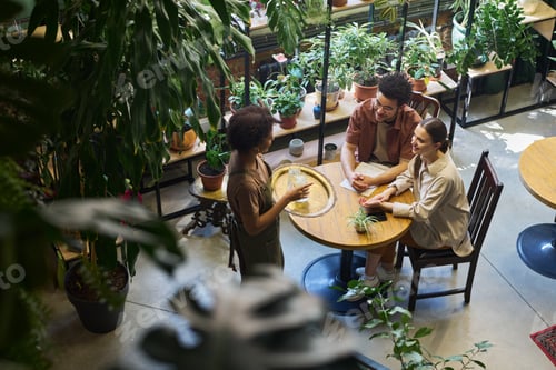 Preview: High angle of young intercultural couple looking at waitress with tray
