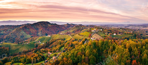 Preview: Aerial view of Vineyard on an Austrian countryside with a church in the background