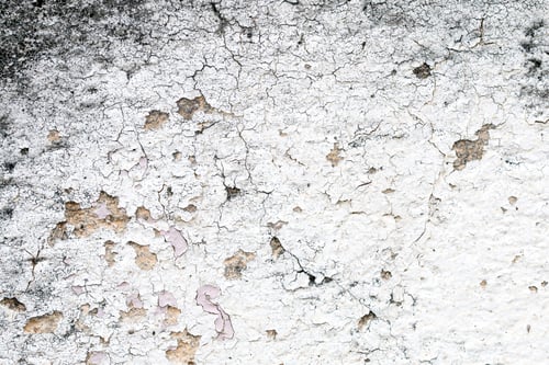 Preview: Light Gray Stucco Wall Texture. Abstract Background