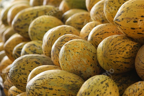 Preview: Pile of yellow water melons close up.