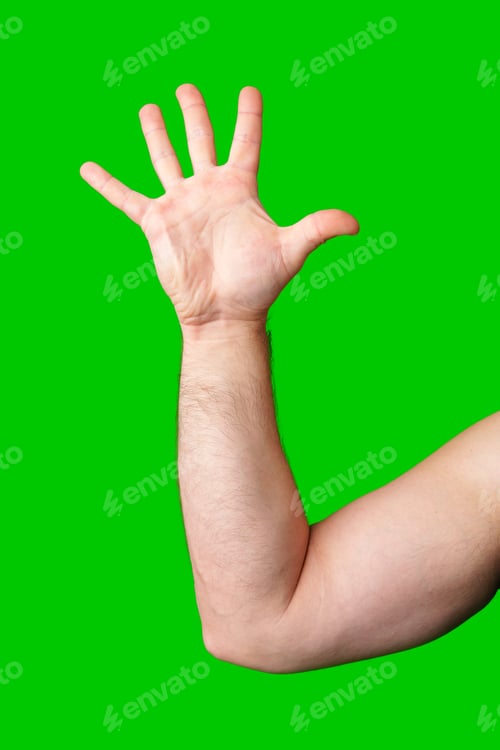Preview: A raised hand against a vibrant green backdrop signaling for attention or greeting
