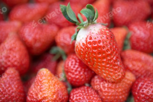 Preview: Close Up View Of Strawberries