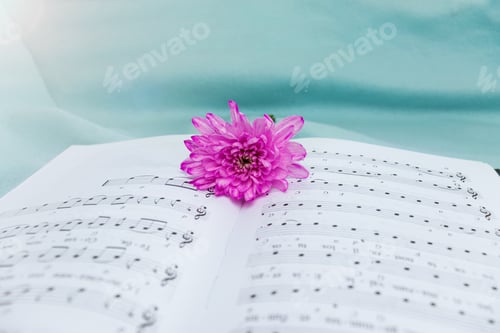 Preview: musical notation. Music in notes. Love to music.