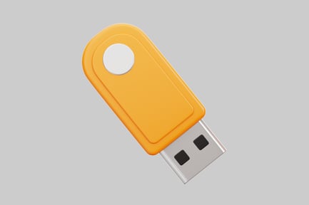 Preview: Orange usb flash drive data