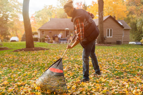 Preview: Mid adult man raking in autumn leaves garden