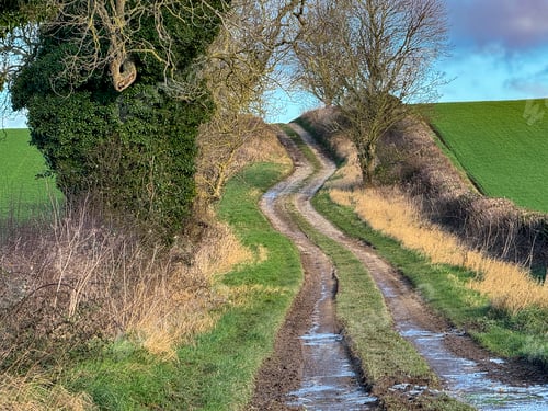 Preview: Farm track in North Yorkshire - northeast England