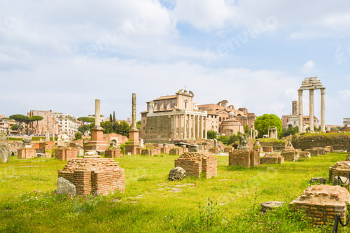 Preview: View of the roman forum from the julia basilica