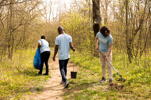 Preview: Male environmentalist raking dry leaves to help forest ecosystem restructuration