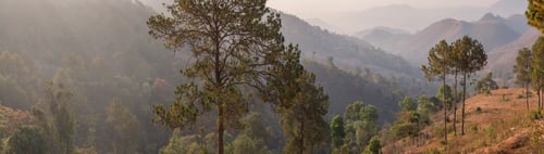 Preview: Countryside at sunrise between Inle Lake and Kalaw, a popular 2 day trek in Shan State, Myanmar (Bur
