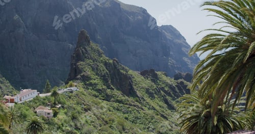 Preview: Tropical palm tree leaves moving in the wind in Masca Gorge Tenerife, Canary Islands, Spain
