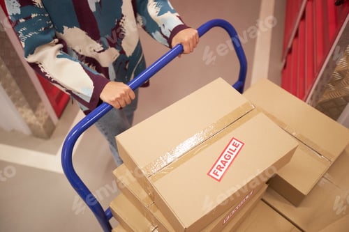 Preview: Woman Pushing Cart with Fragile Belongings