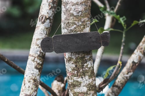 Preview: Empty wooden nameplate on tree. Vintage textured style and place for text, sign or logo.