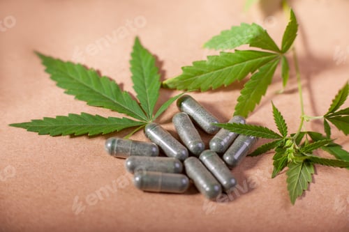 Preview: Capsules with hemp powder, branches with hemp leaves on craft paper and natural stone