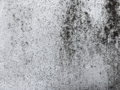 Preview: Old wall background