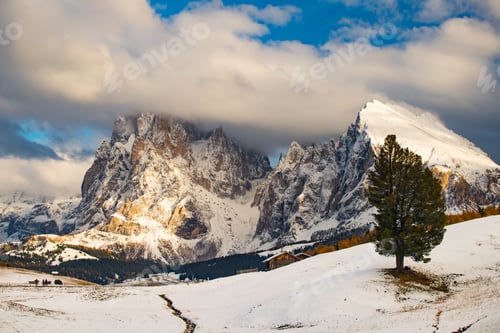 Preview: Amazing winter landscape with snow at Alpe di Siusi, Dolomites,Italy