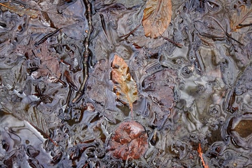 Preview: Swirls of Water, Ice and Leaves