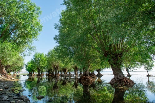 Preview: Civril Isikli Lake in Denizli.