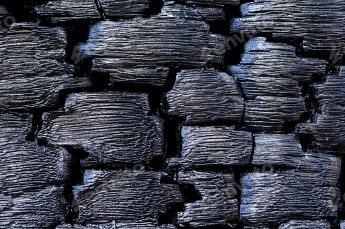 Preview: Close-Up of Charred Wood Texture After Burning