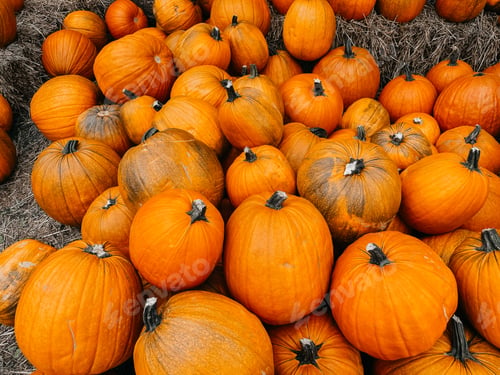 Preview: Pumpkins