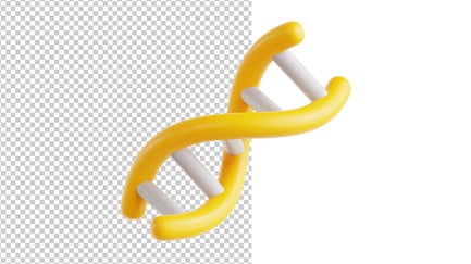 Preview: 3D DNA