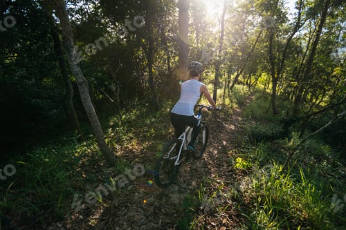 Preview: Mountain biking in summer forest