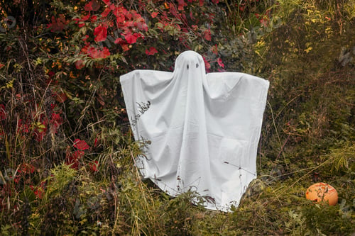 Aperçu: Little girl dressed in a white sheet depicts a ghost on Halloween