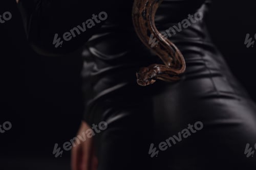 Preview: Close up portrait of sexy woman with snake in latex outfit