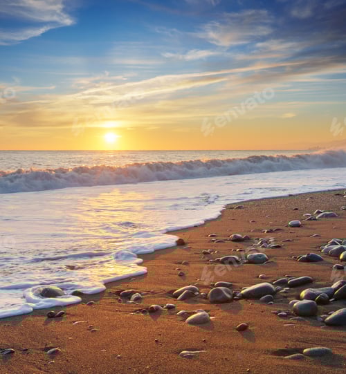 Preview: Sandy seashore during sunset