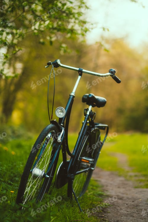 Preview: Bicycle on a road in a park in sunny spring day.