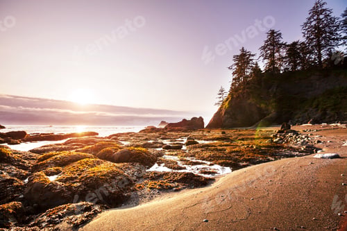 Preview: Olympic coast