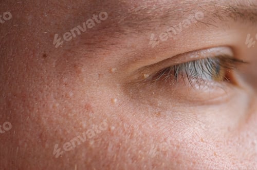 Preview: DSC09773