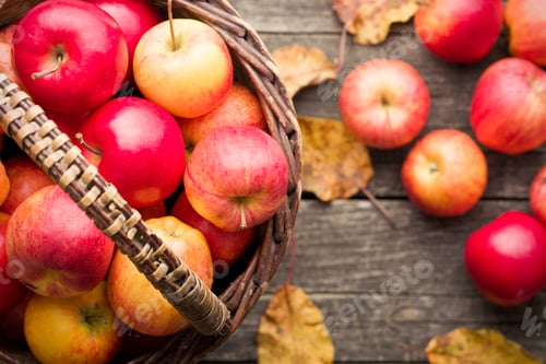 Preview: autumn apples in basket