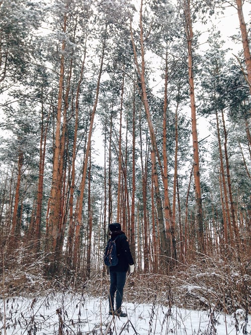 Preview: Man looking at winter wood