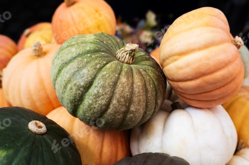 Preview: A mix of colorful pumpkins—orange, white, and green, seasonal and Halloween decorations.
