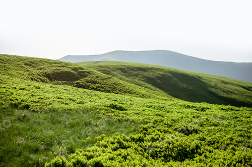 Preview: Landscape of the green mountains