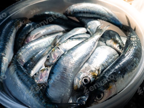 Preview: Fresh raw sardine for grill plate. Prepared spanish pilchard style. Fish cleaned