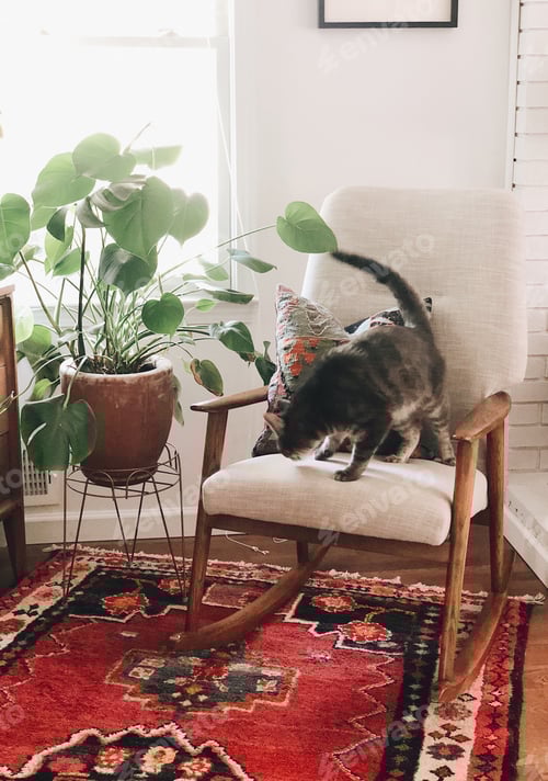 Preview: Mid century modern Cat