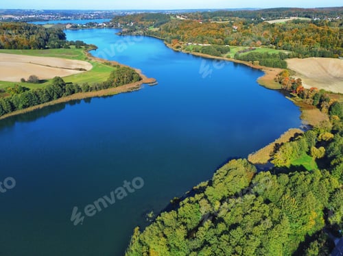 Preview: Early Autumn drone shot - river in the forest